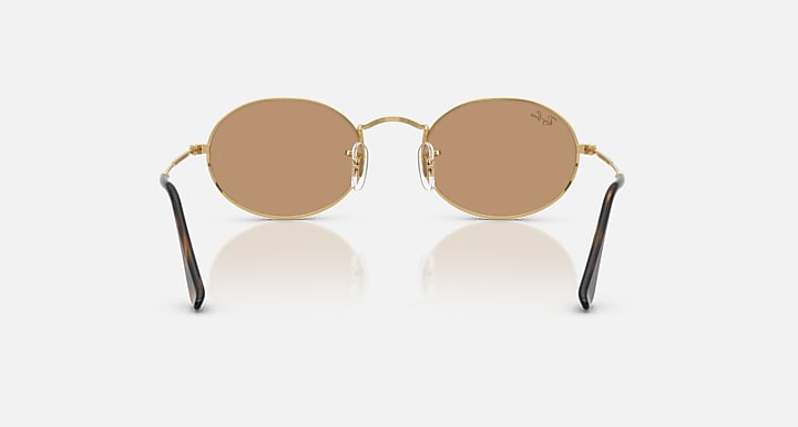Ray-Ban OVAL METAL SUMMER CAPSULE Arista Gold with Brown Solid Color lenses - Back