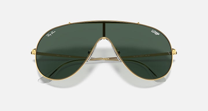Ray-Ban WINGS Arista Gold with Dark Green Solid Color lenses - Closed Front