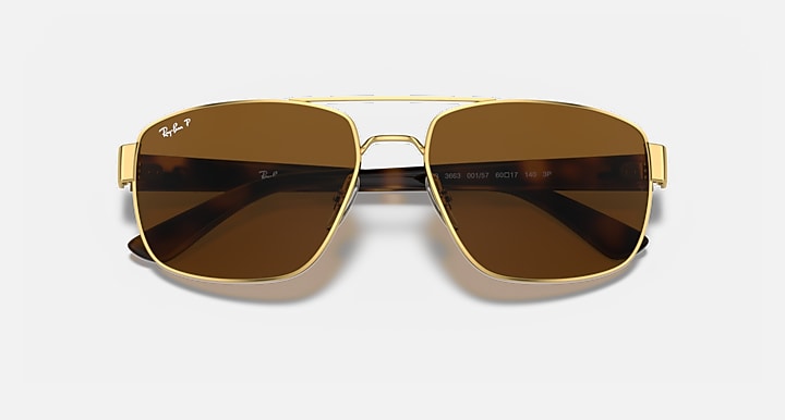 Ray-Ban RB3663 Arista Gold; Gold with Brown Polarized Solid Color lenses - Closed Front
