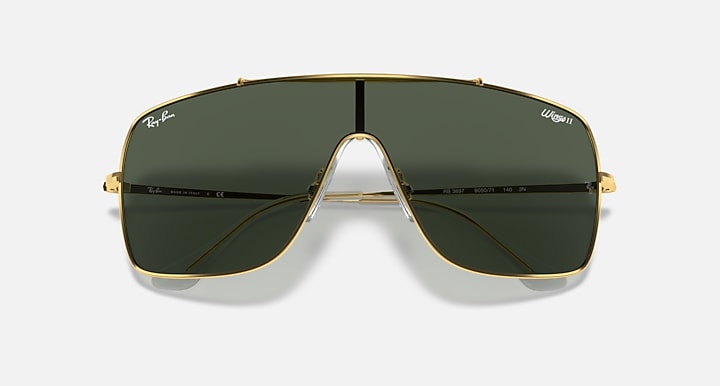 Ray-Ban WINGS II Arista Gold with Dark Green Solid Color lenses - Closed Front