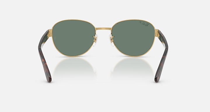 Ray-Ban RB3766 POLARIZED+ LENSES Arista Gold; Havana with Polarized+ Grey Polarized+ lenses - Back