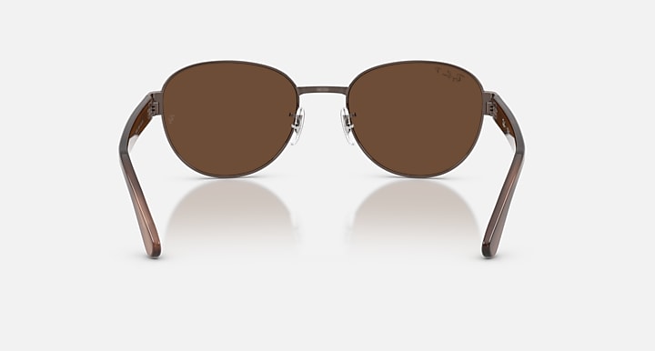 Ray-Ban RB3766 POLARIZED+ LENSES Copper; Striped Brown with Polarized+ Brown Polarized+ lenses - Back
