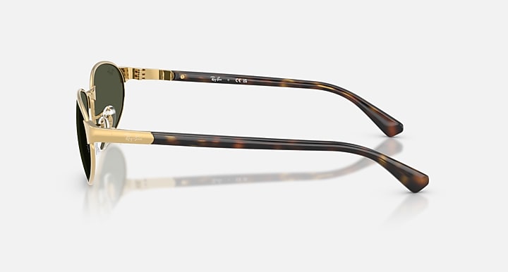 Ray-Ban RB3777 Arista Gold; Havana with Green Solid Color lenses - Lateral