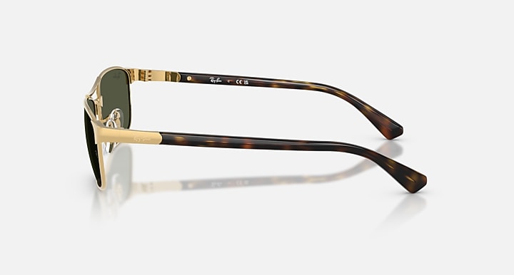 Ray-Ban RB3778 Arista Gold; Havana with Green Solid Color lenses - Lateral