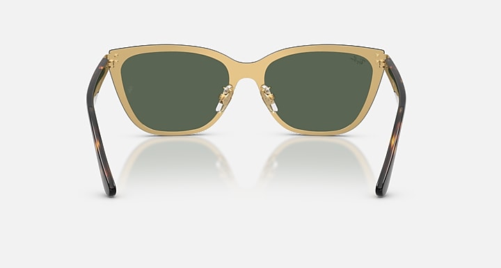Ray-Ban RB3798D Gold; Havana with Dark Green Solid Color lenses - Back