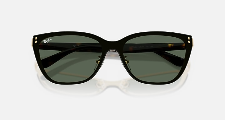 Ray-Ban RB3798D Gold; Havana with Dark Green Solid Color lenses - Closed Front