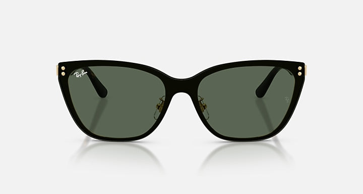 Ray-Ban RB3798D Gold; Havana with Dark Green Solid Color lenses - Front