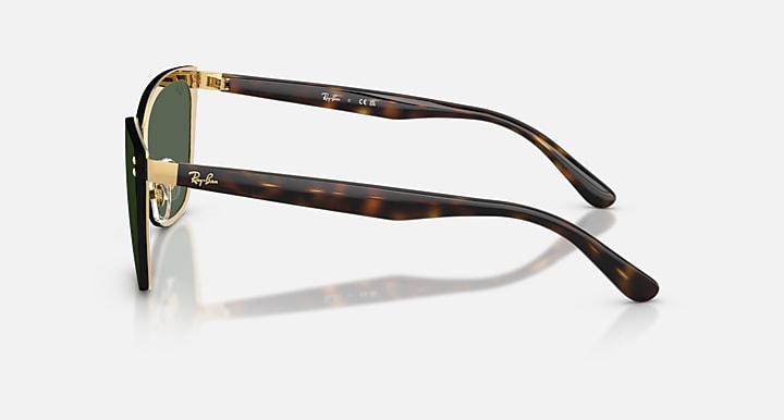 Ray-Ban RB3798D Gold; Havana with Dark Green Solid Color lenses - Lateral
