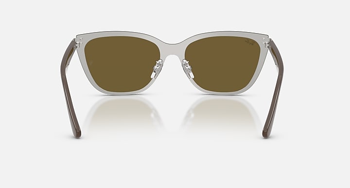 Ray-Ban RB3798D Silver; Brown with Dark Brown Solid Color lenses - Back