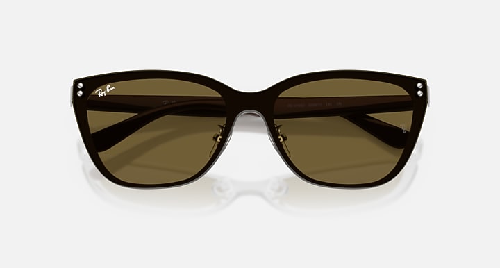 Ray-Ban RB3798D Silver; Brown with Dark Brown Solid Color lenses - Closed Front