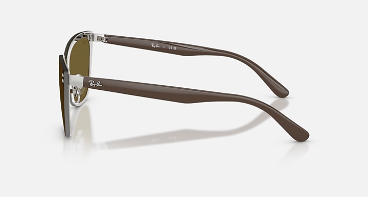 Ray-Ban RB3798D Silver; Brown with Dark Brown Solid Color lenses - Lateral