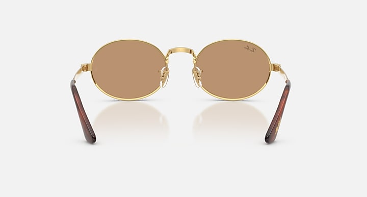 Ray-Ban RB3931 BY A$AP ROCKY Arista Gold with Brown Solid Color lenses - Back