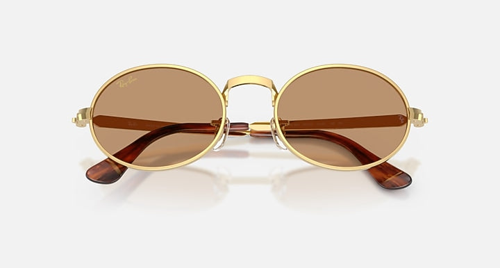 Ray-Ban RB3931 BY A$AP ROCKY Arista Gold with Brown Solid Color lenses - Closed Front