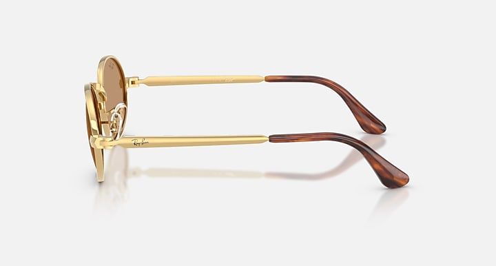 Ray-Ban RB3931 BY A$AP ROCKY Arista Gold with Brown Solid Color lenses - Lateral
