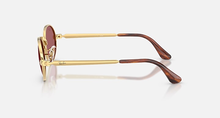 Ray-Ban RB3931 BY A$AP ROCKY Arista Gold with Purple Polarized Solid Color lenses - Lateral