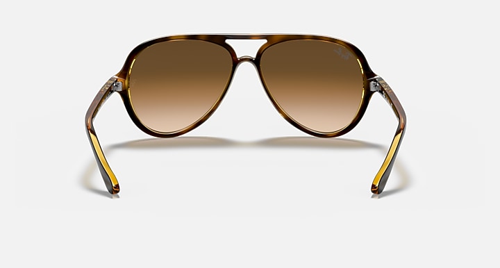 Ray-Ban CATS 5000 CLASSIC Light Havana with Light Brown Gradient Gradient lenses - Back