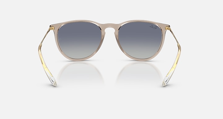 Ray-Ban ERIKA CLASSIC As shown with As shown lenses - Back