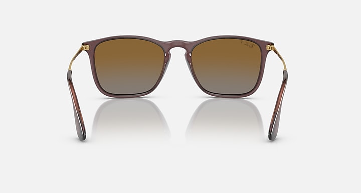 Ray-Ban CHRIS Transparent Brown; Gold with Brown Polarized Gradient lenses - Back
