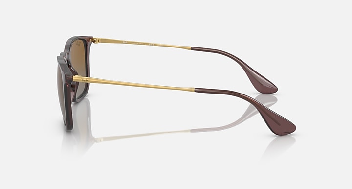 Ray-Ban CHRIS Transparent Brown; Gold with Brown Polarized Gradient lenses - Lateral
