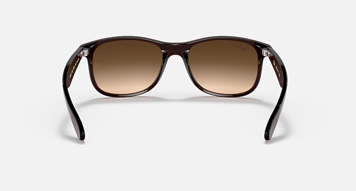 Ray-Ban ANDY Brown with Brown Gradient Gradient lenses - Back