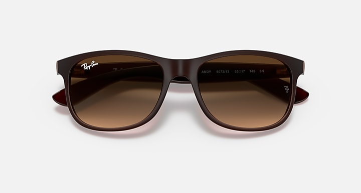 Ray-Ban ANDY Brown with Brown Gradient Gradient lenses - Closed Front