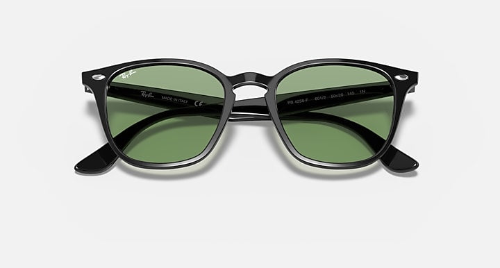 Ray-Ban RB4258 Black; Shiny Black with Light Green Classic Solid Color lenses - Closed Front