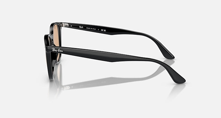 Ray-Ban RB4258 Black with Brown Solid Color lenses - Lateral