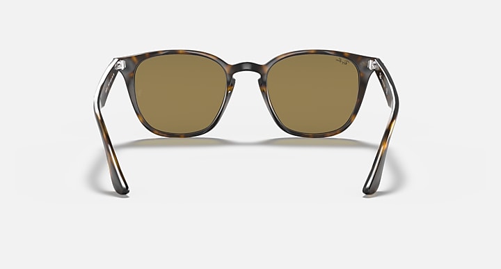 Ray-Ban RB4258 Light Havana; Tortoise with B-15 Brown Solid Color lenses - Back