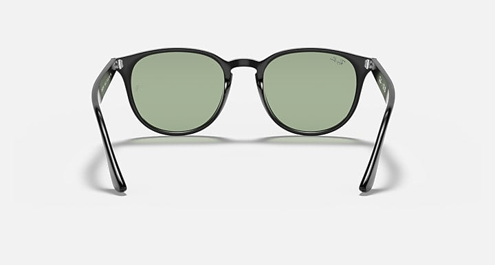Ray-Ban RB4259 Black; Shiny Black with Light Green Classic Solid Color lenses - Back