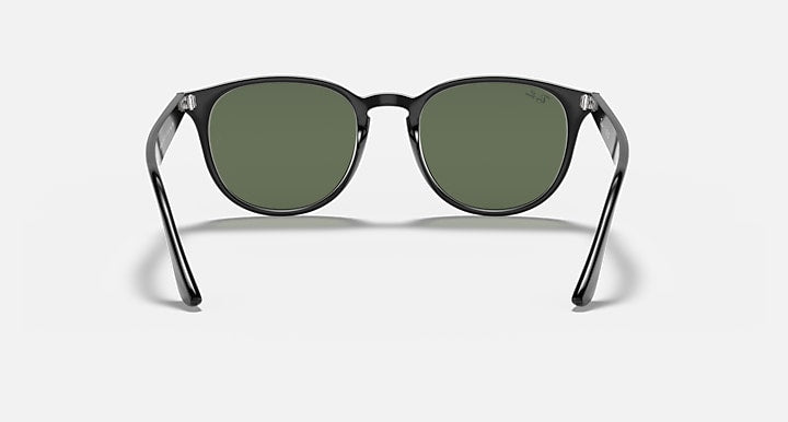 Ray-Ban RB4259 Black with Green Solid Color lenses - Back