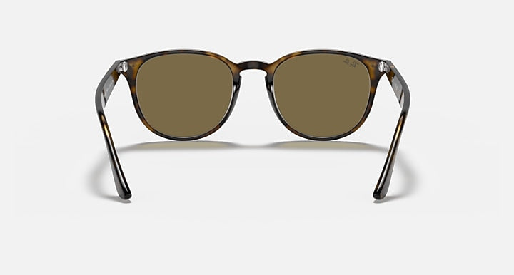 Ray-Ban RB4259 Light Havana with B-15 Brown Solid Color lenses - Back