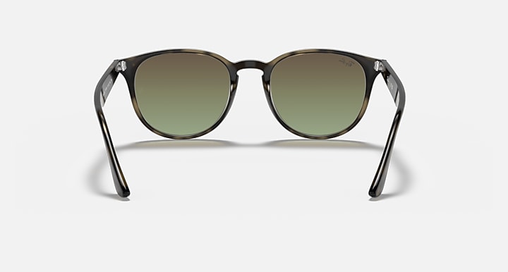 Ray-Ban RB4259 Grey Havana with Brown Gradient Gradient lenses - Back