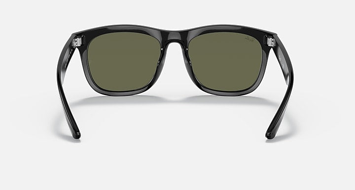 Ray-Ban RB4260D As shown with As shown lenses - Back