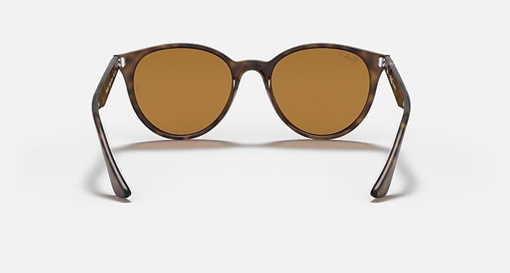 Ray-Ban RB4305 Light Havana; Tortoise with Brown Polarized Solid Color lenses - Back