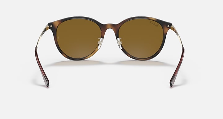 Ray-Ban RB4334D Light Havana; Gold with Brown Polarized Solid Color lenses - Back