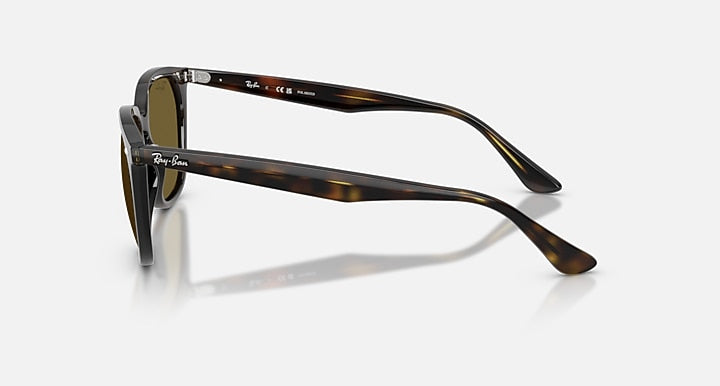 Ray-Ban RB4362 As shown with As shown lenses - Lateral