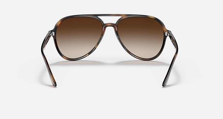 Ray-Ban RB4376 Havana with Brown Gradient Gradient lenses - Back