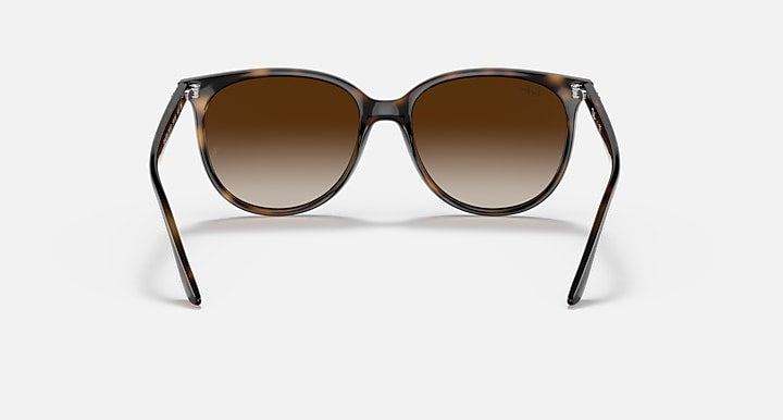 Ray-Ban RB4378 Havana with Gradient Brown Gradient lenses - Back