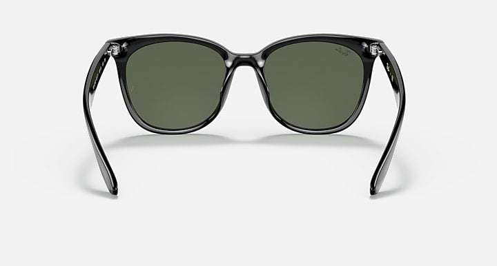 Ray-Ban RB4379D Black with Dark Green Solid Color lenses - Back