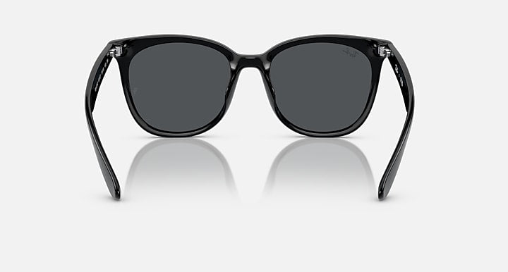 Ray-Ban RB4379D Black with Dark Grey Solid Color lenses - Back