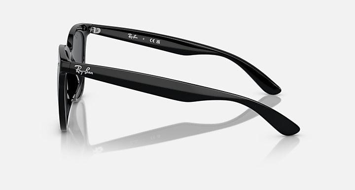 Ray-Ban RB4379D Black with Dark Grey Solid Color lenses - Lateral