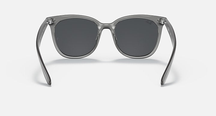 Ray-Ban RB4379D Transparent Grey; Grey with Dark Grey Solid Color lenses - Back