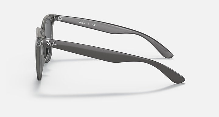 Ray-Ban RB4379D Transparent Grey; Grey with Dark Grey Solid Color lenses - Lateral