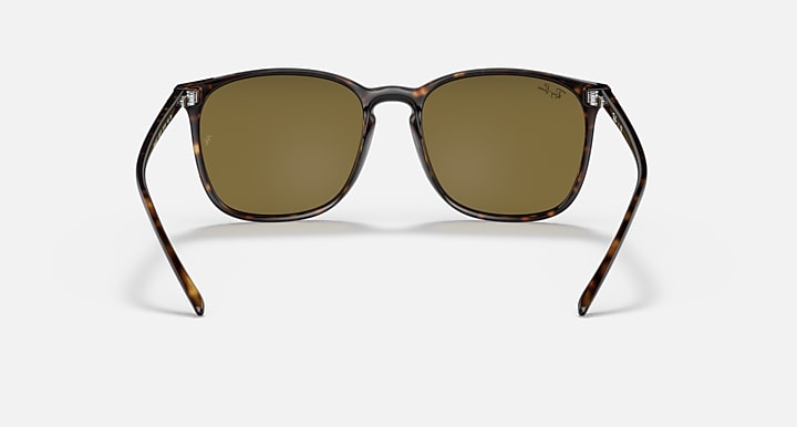 Ray-Ban RB4387 Tortoise with Brown Classic Solid Color lenses - Back