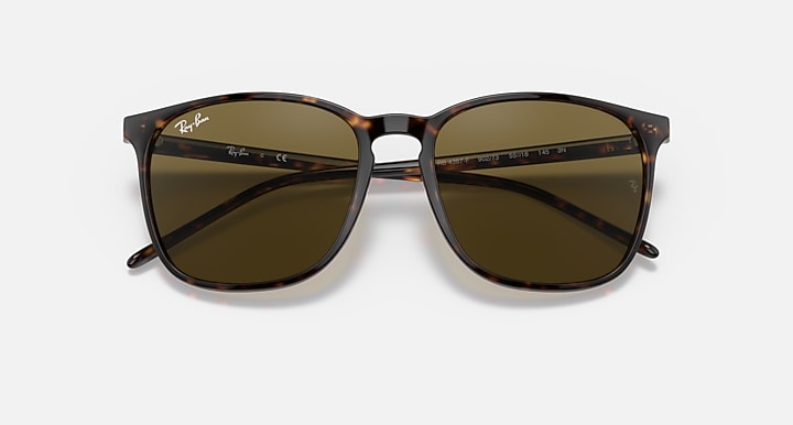 Ray-Ban RB4387 Tortoise with Brown Classic Solid Color lenses - Closed Front
