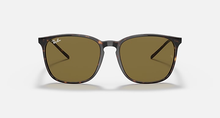 Ray-Ban RB4387 Tortoise with Brown Classic Solid Color lenses - Front