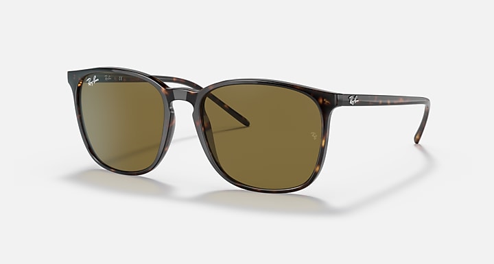 Ray-Ban RB4387 Tortoise with Brown Classic Solid Color lenses - Quarter