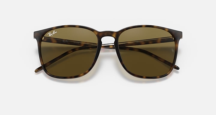 Ray-Ban RB4387 Light Havana with B-15 Brown Solid Color lenses - Closed Front