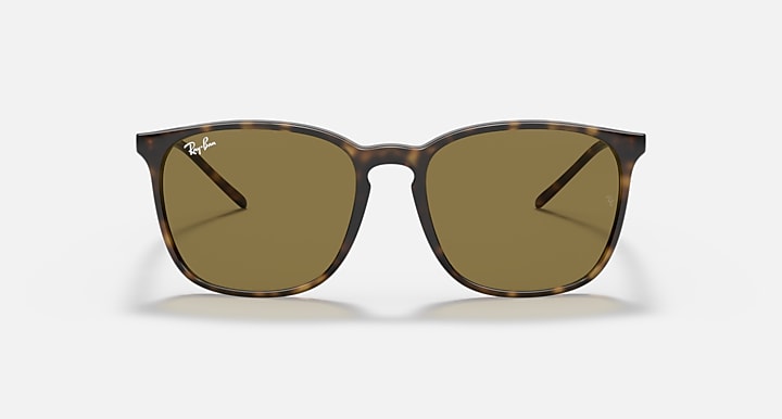 Ray-Ban RB4387 Light Havana with B-15 Brown Solid Color lenses - Front