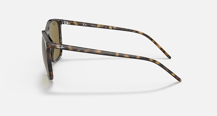 Ray-Ban RB4387 Light Havana with B-15 Brown Solid Color lenses - Lateral